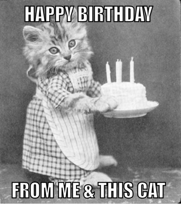 Happy Birthday From Me And This Cat