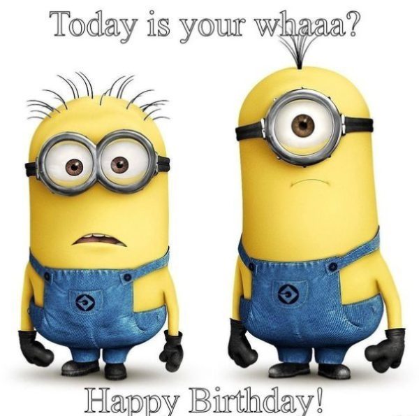 Today Is Your Whaa Happy Birthday