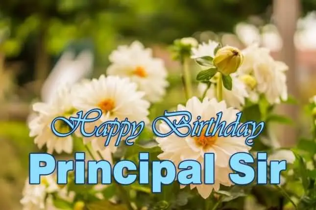 Happy Birthday Principal Sir Pic
