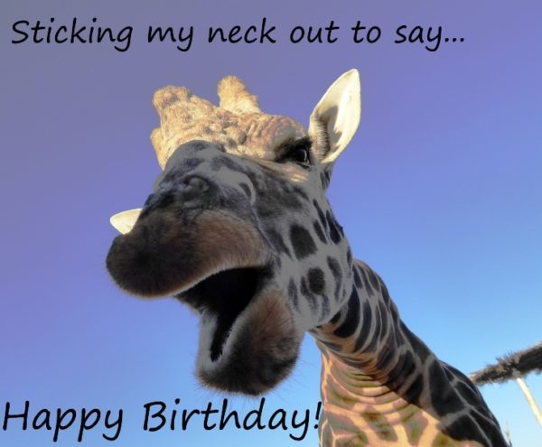 36 Hilarious Birthday Wishes